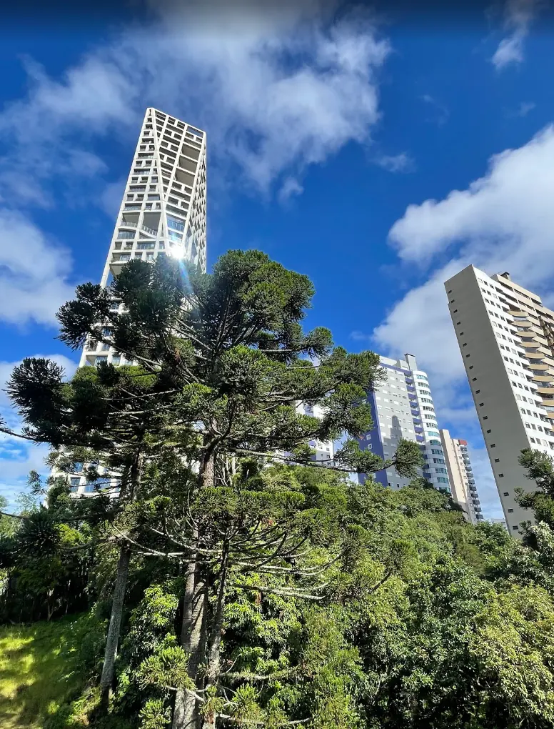 Paisagem de Curitiba com araucárias